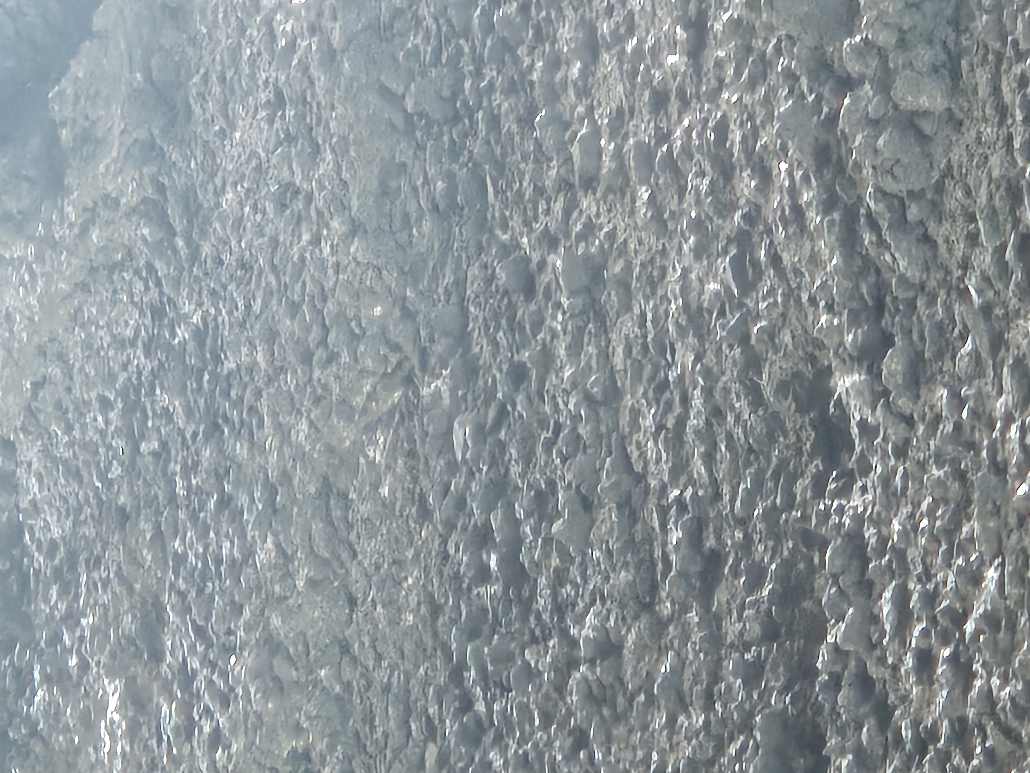 Project detail